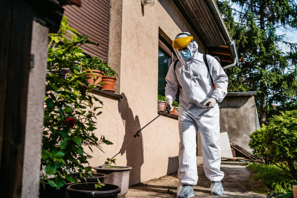 Trusted Opa Locka, FL Pest Control Experts