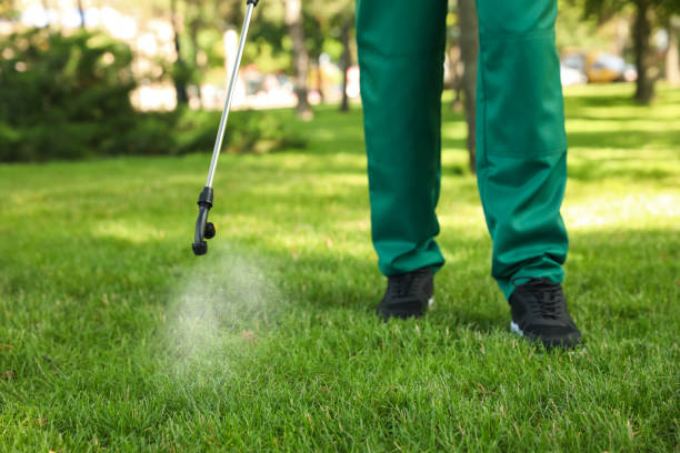 Flea Control Services in Opa Locka, FL