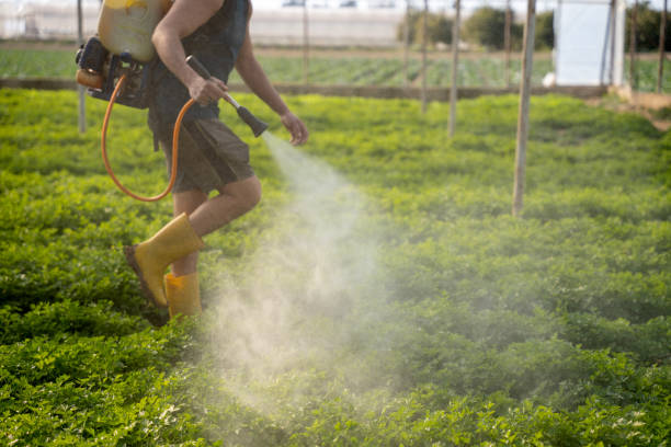 Best Wildlife Control Services  in Opa Locka, FL