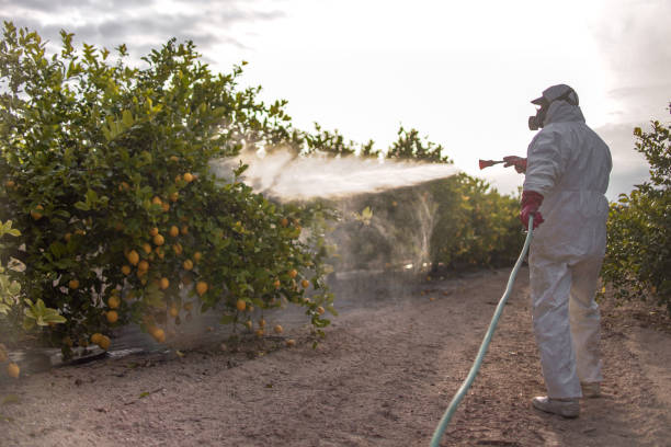 Best Pest Control Near Me  in Opa Locka, FL