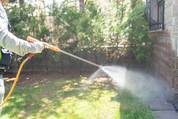Pest Prevention Services in Opa Locka, FL