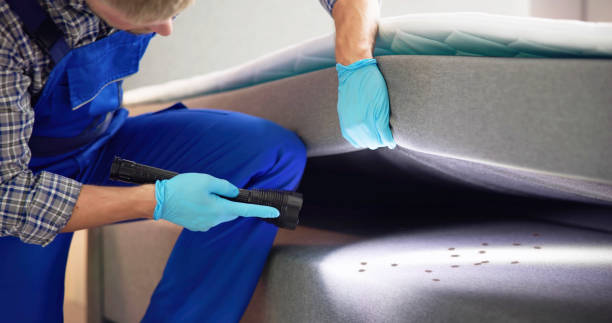 Best Affordable Pest Control Services  in Opa Locka, FL