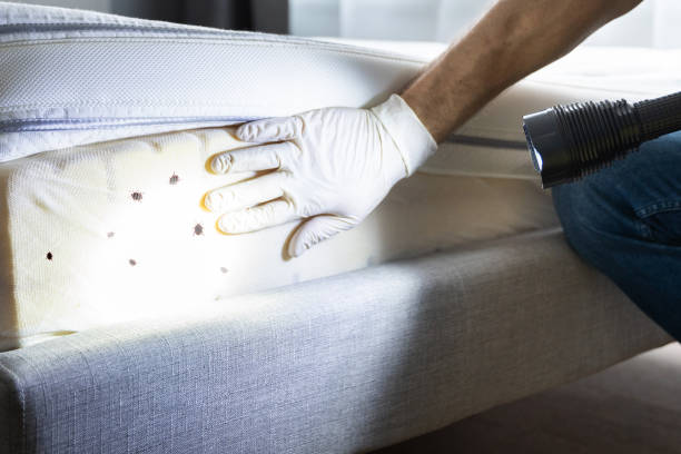 Best Insect Control  in Opa Locka, FL