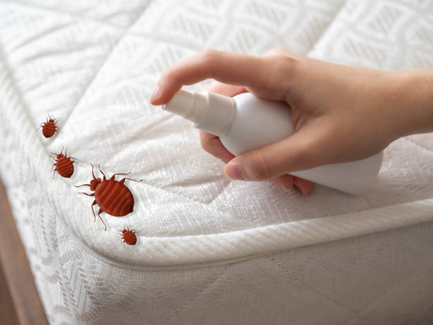 Best Pest Removal Services  in Opa Locka, FL