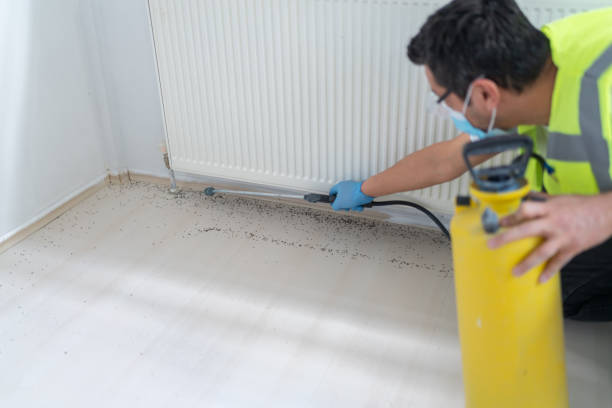 Trusted Opa Locka, FL Pest Control Experts