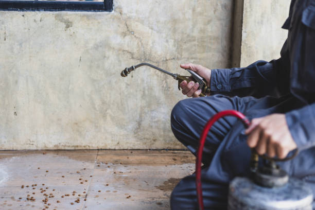 Best Pest Prevention Services  in Opa Locka, FL